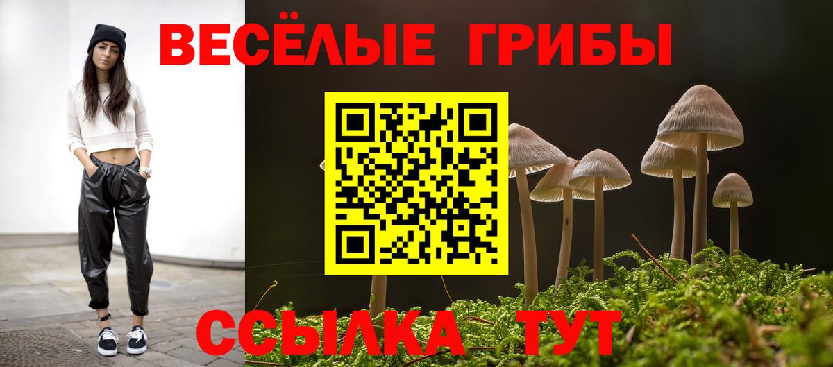 Галлюциногенные грибы мицелий  Псилоцибиновые грибы прущие грибы  цена   Вход с VPN  Луга 